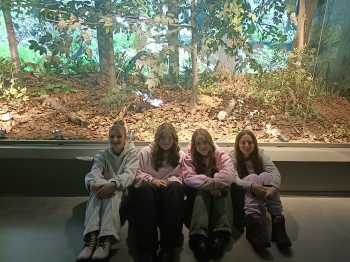 IMG20251009092357