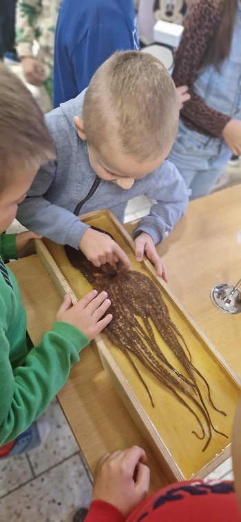 583a5b0b-56d0-4676-bdf7-0af7a91744b0