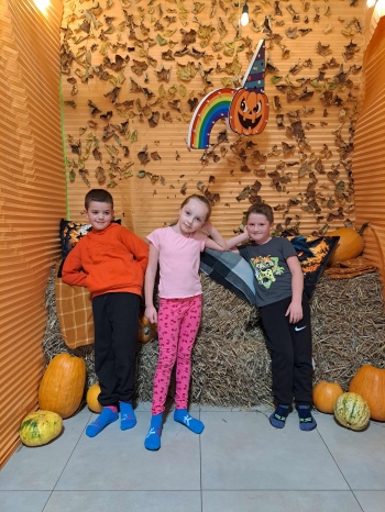 29d831fb-ebf2-41ea-98d7-d7f00221e25b