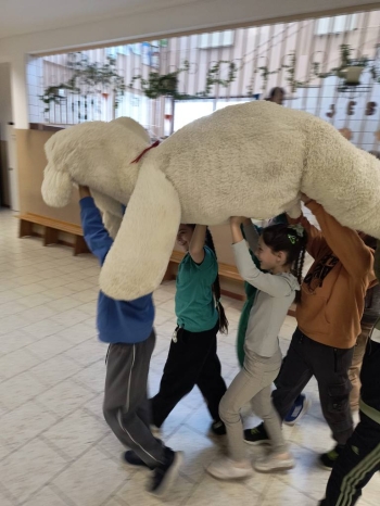 589222459_1346910577229827_6140311968801875006_n