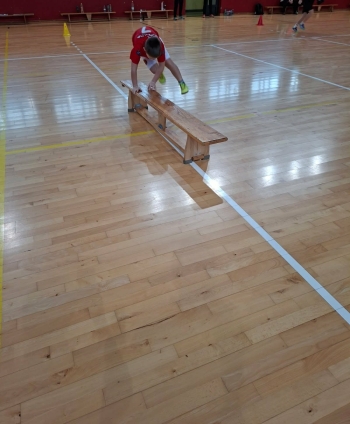 0abb3376-14da-46f8-9811-67c8d1af24fb