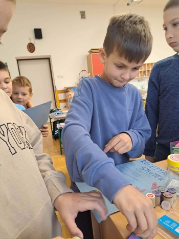 6e19c936-5e3e-40da-b58e-0dee076053eb