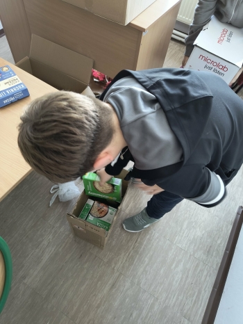 ac392816-2400-4d11-8d99-d5b73df6d489