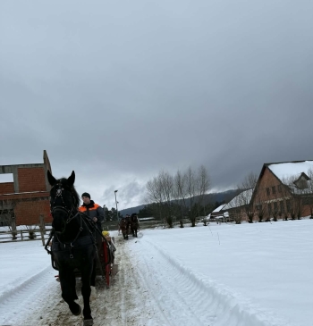 02efce9a-ce43-4b4d-8cf8-2fd5f7516ba9