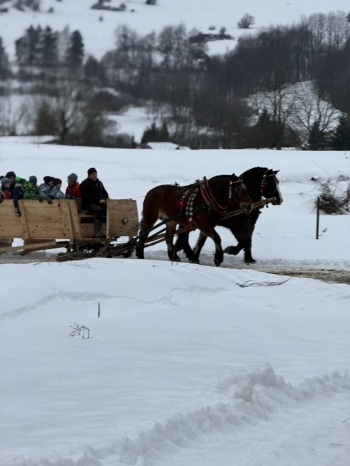 99a8c91f-972f-4f6f-8cd4-9c02c92a5849