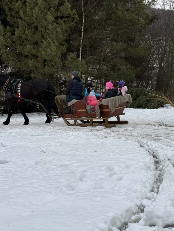 d0b9444d-5f4c-43fc-ace0-510549aeb905