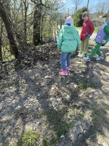 e03adc71-63ee-45a8-87de-be5796e69ae1