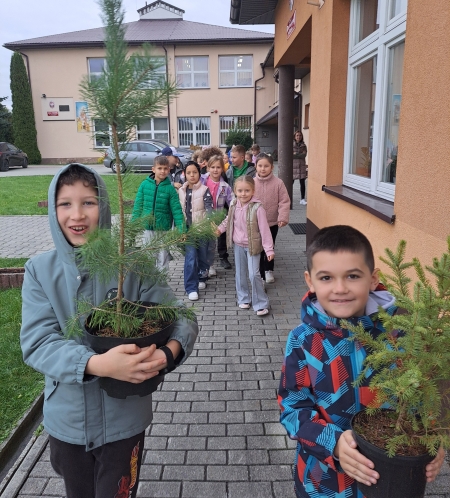 Światowy Dzień Drzewa